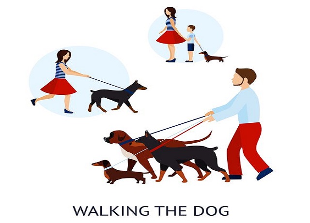dog walking app