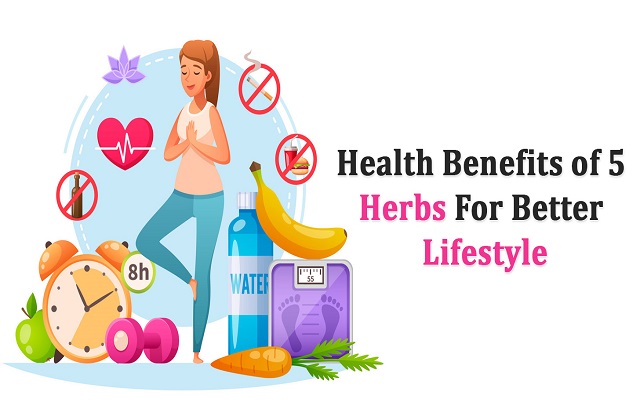 herbs health benefits