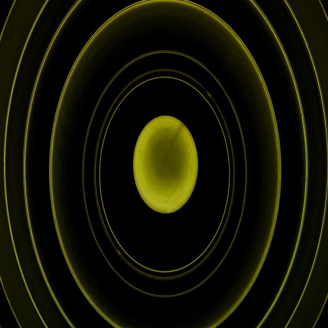 gravity forms