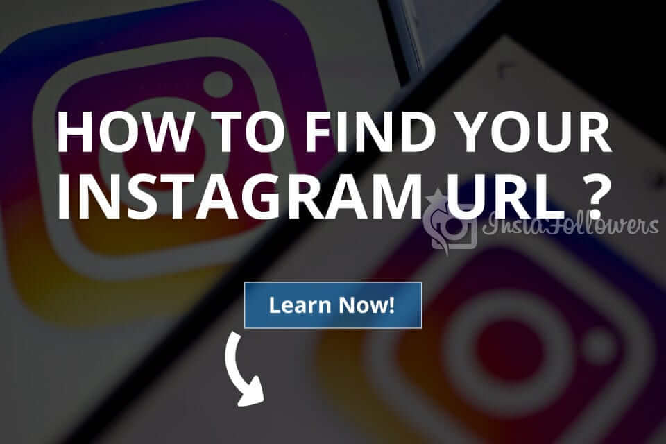 Instagram profile