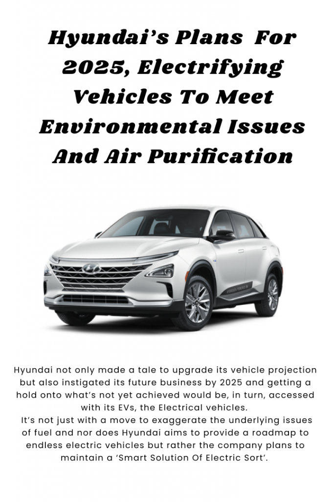 What Plans Does Hyundai Hold For 2025?