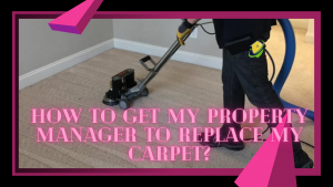 carpet cleaning