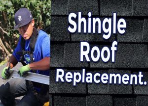 Shingle Roof Replacement