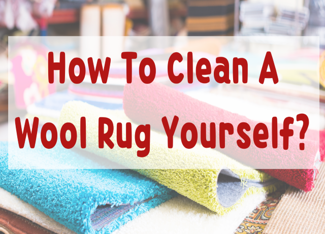 Clean Wool Rug