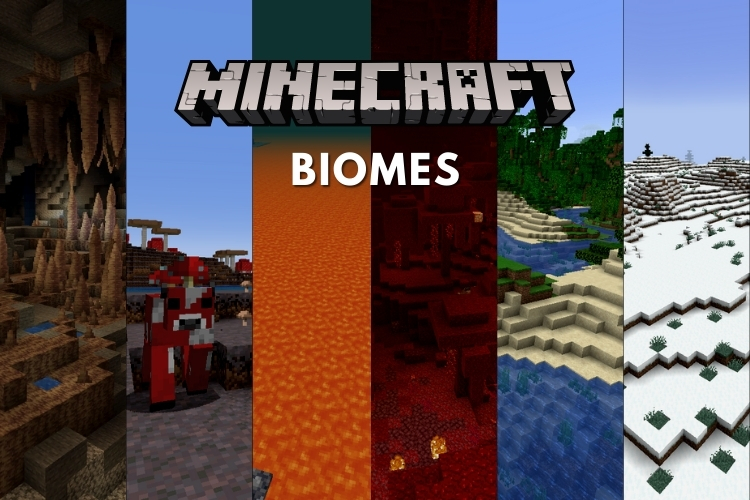 The Very Best Biomes In Minecraft