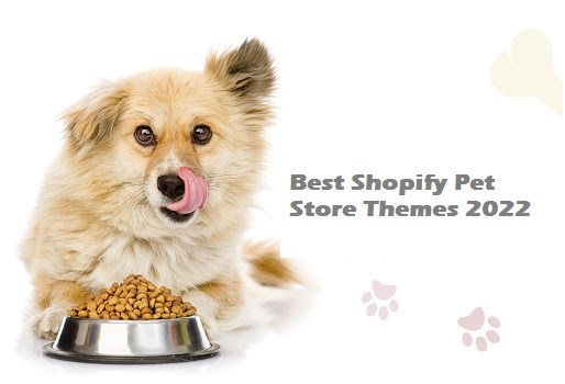 best Shopify themes for pet stores