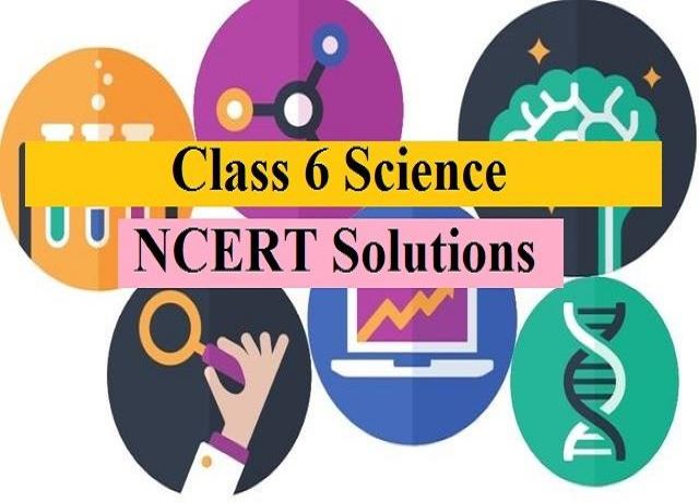 ncert solutions