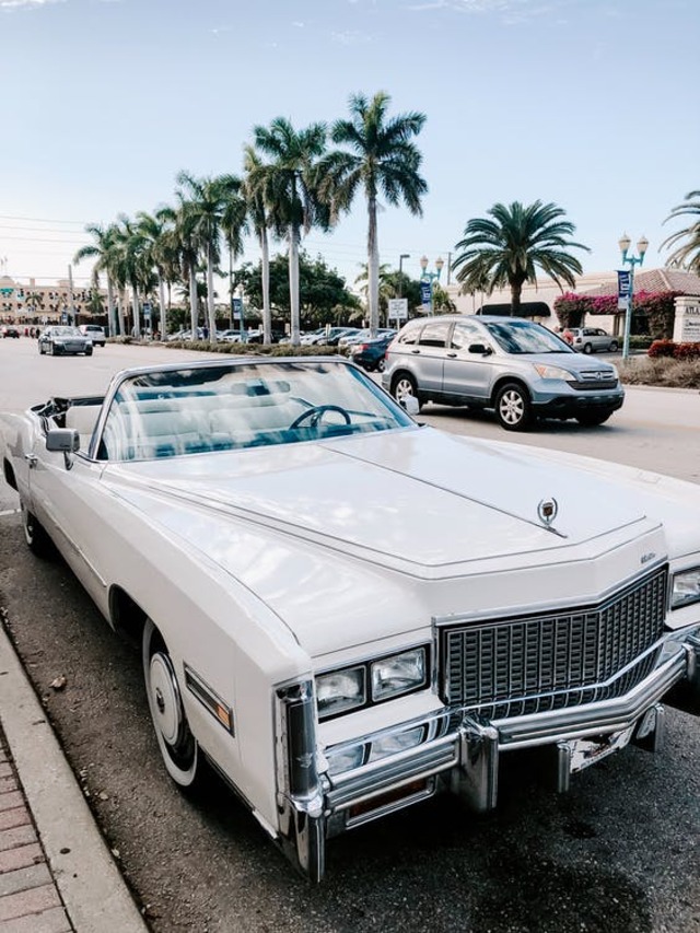 Visit History Miami