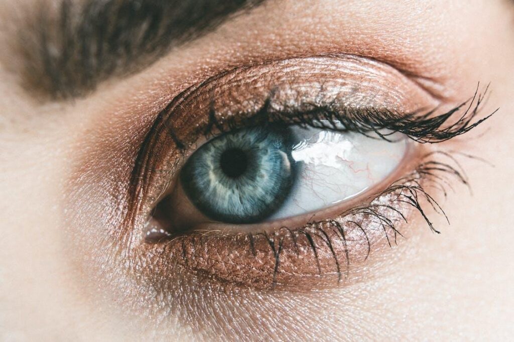 eyelash application courses