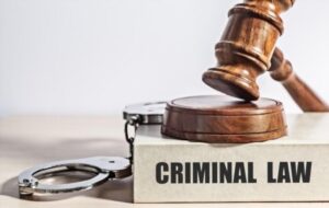 criminal lawyers law