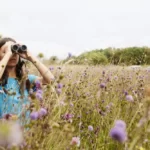 observe wildlife without disturbing