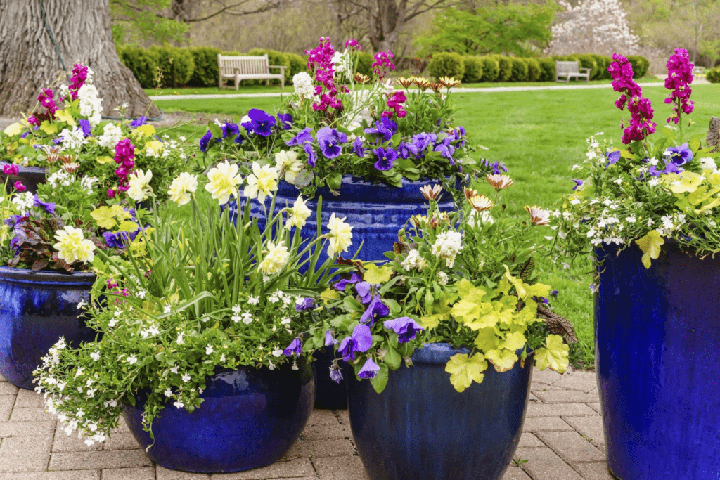 ceramic planters online in India