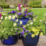 ceramic planters online in India
