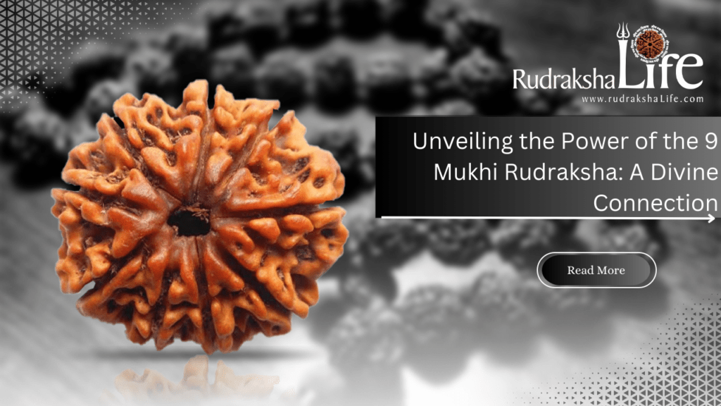nine mukhi rudraksha