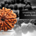 nine mukhi rudraksha