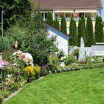 low maintenance garden