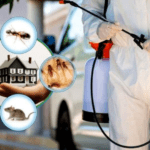 Best Pest Control Service in Pokhara