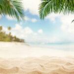 Summer sandy beach with blur ocean on background. Palm leaves on foreground