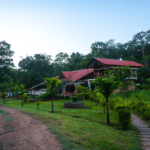 book dandeli resort
