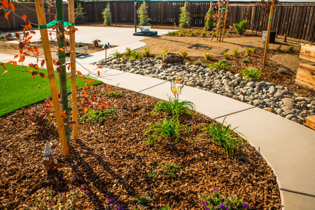 drought-tolerant landscape design
