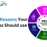 use a PEO services