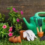 preparing garden for spring