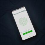 download yowhatsapp