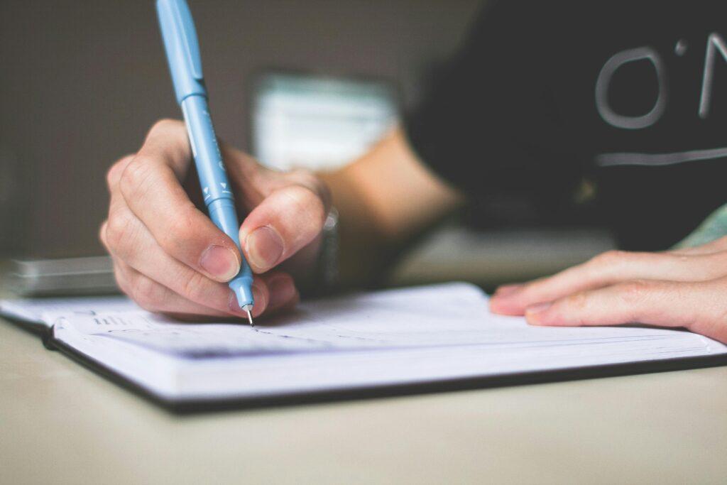 professional essay services