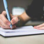professional essay services