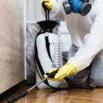 pest control service udaipur