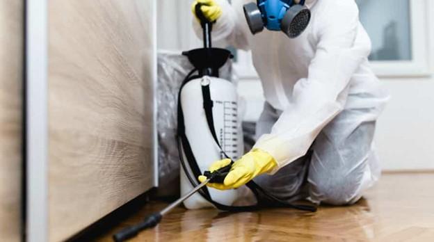 pest control service udaipur