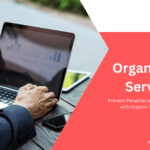 organic seo services