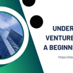 Understanding Venture Capital A Beginner's Guide