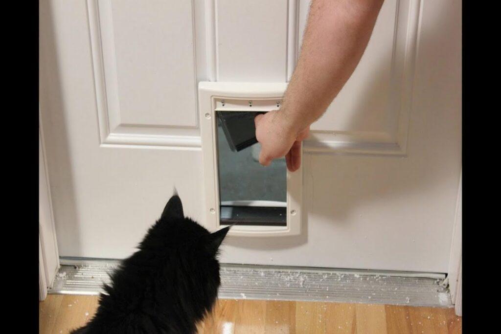 cat flap installation