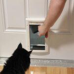 cat flap installation