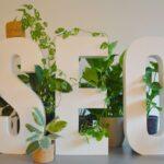 online authority