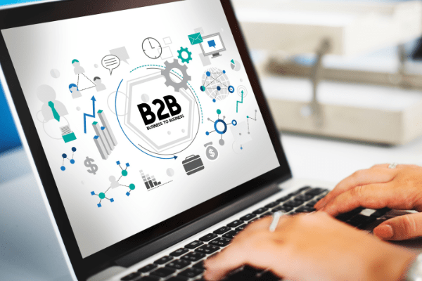 b2b database provider