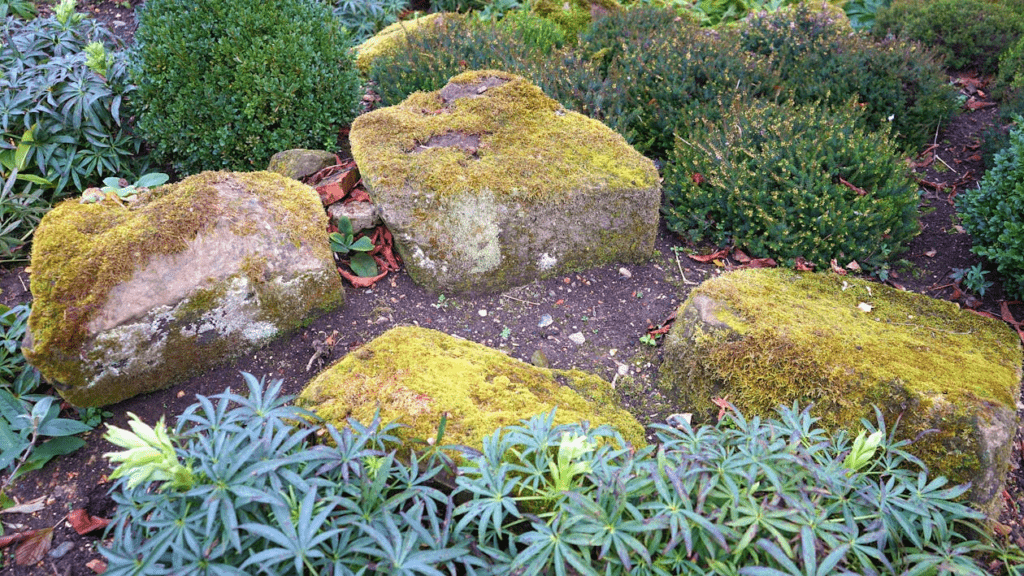 How do I make my garden look modern?