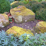 How do I make my garden look modern?
