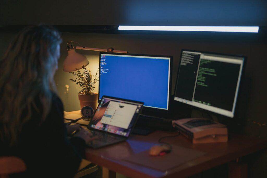 software development