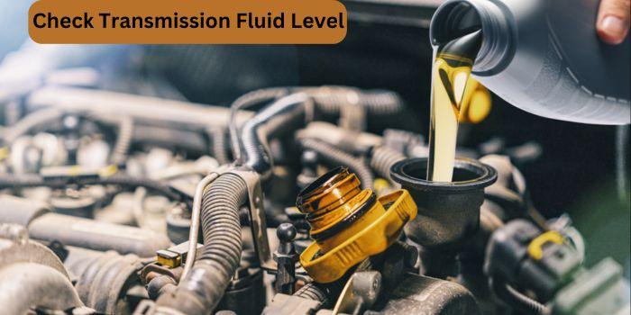 transmission fluid level