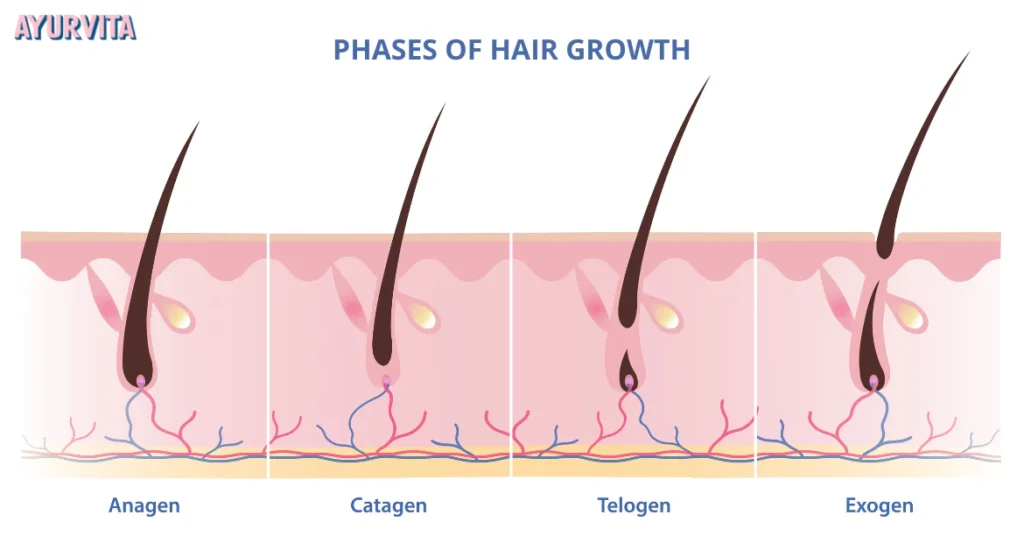 ayurvedic hair care