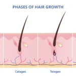 ayurvedic hair care