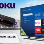 How To Get Refund On Roku Subscription In USA 