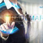 What is the Cost of Trademark Registration in India?