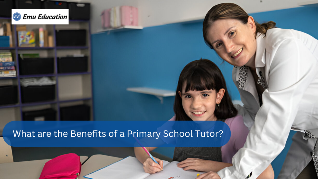 primary school tutor