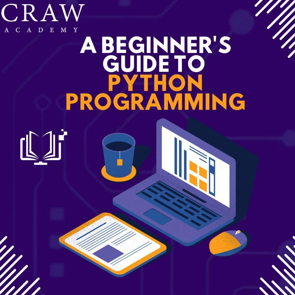 python programming