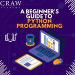 python programming