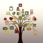 social media