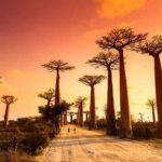 madagascar